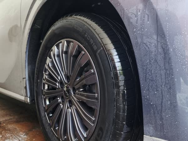 BYD eMAX 9, JMV home service car wash, Davao City